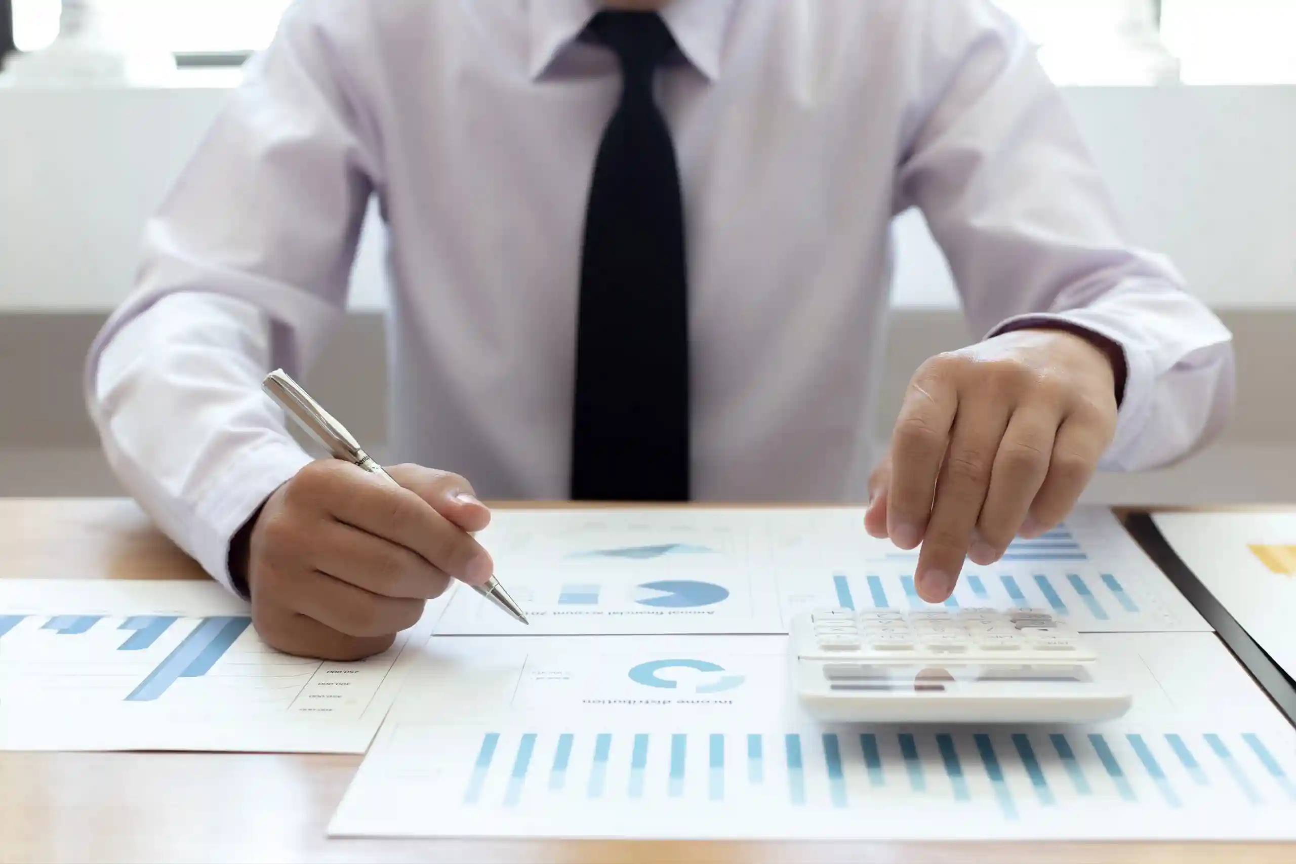 ANPC Auditors Approach